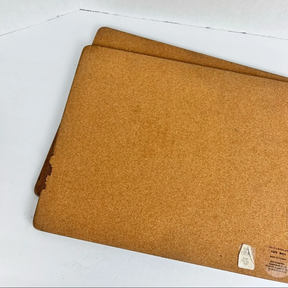 Pottery Barn colorful bohemian printed cork mat/placemat-pair(2)